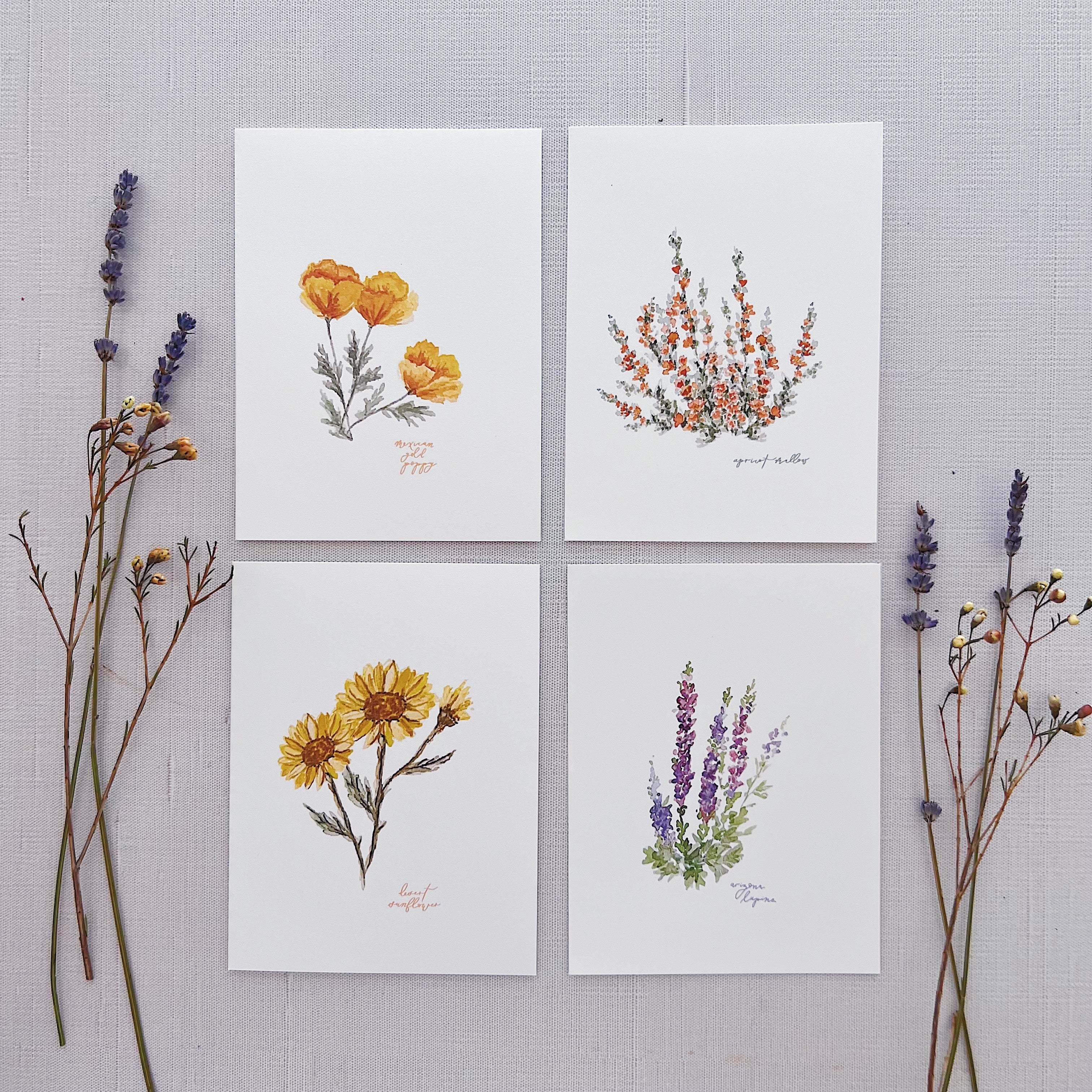 Wildflower Notecards