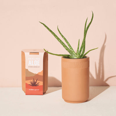 Healing Aloe Terracotta Grow Kit