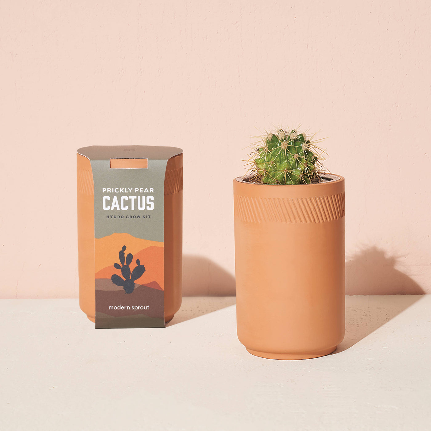 Prickly Pear Cactus Grow Kit