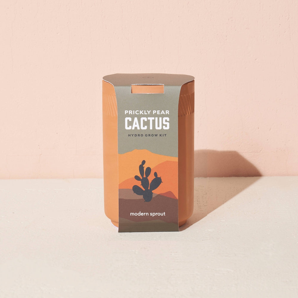 Cactus Grow Kit - Birdytell
